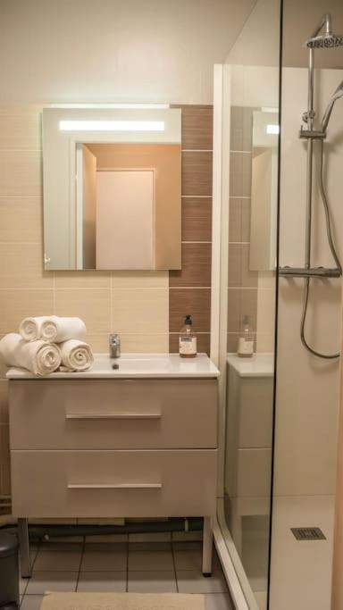 Logement Centre Ville De Reims - Commerces - Wifi Zewnętrze zdjęcie